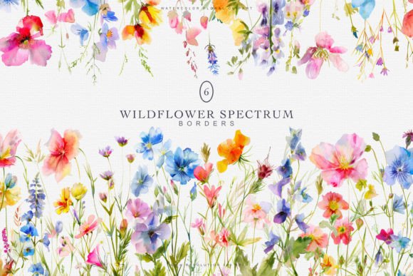 Download Watercolor Colorful Wildflowers Borders - Colorful Collection