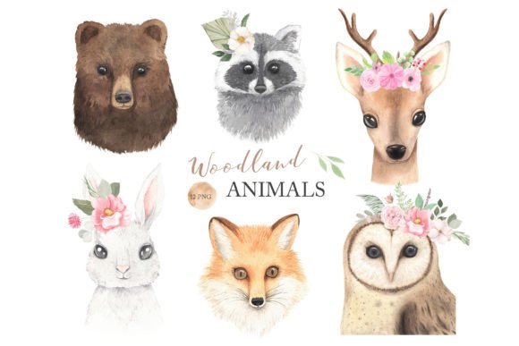 Download Watercolor Woodland Animals Clipart - Premium Resources