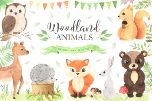 Download Watercolor Woodland Animals Set - Woodland animals set Collection
